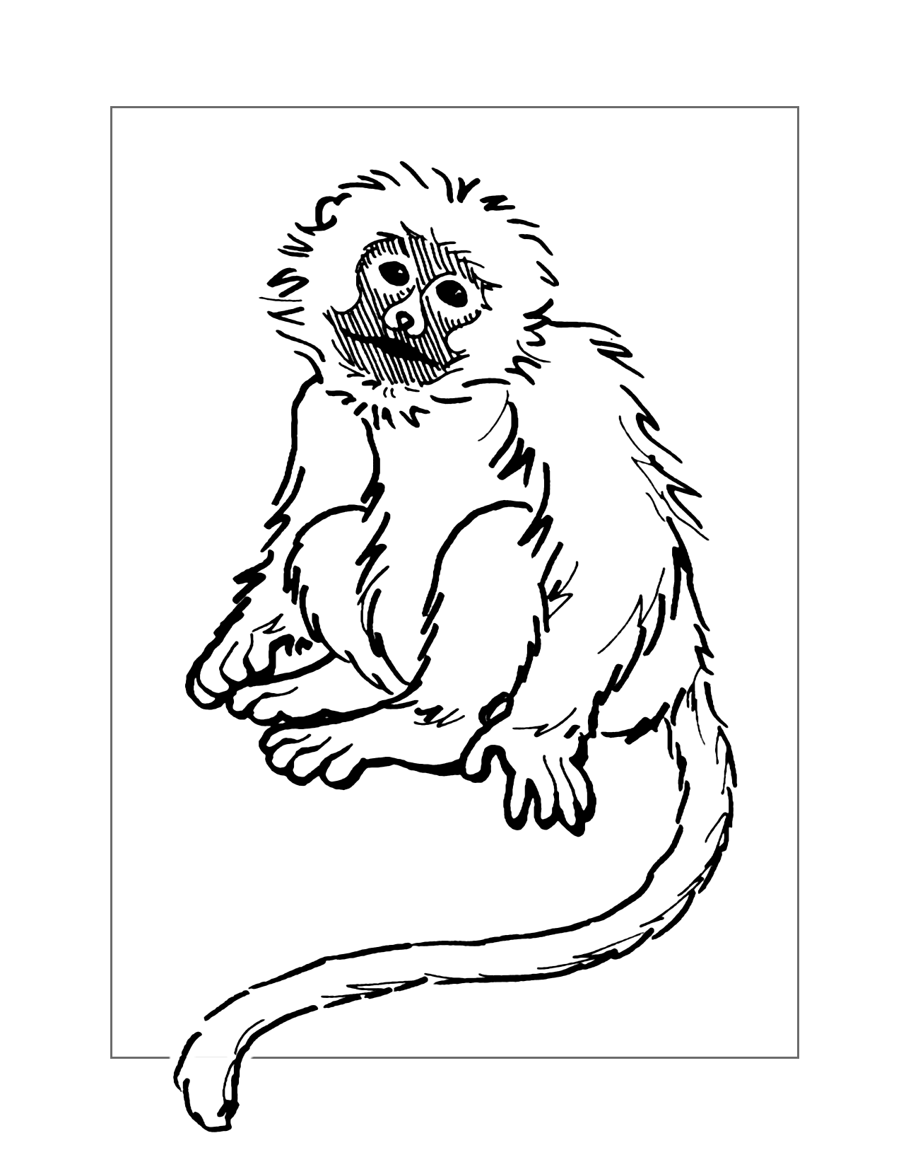 Fuzzy Monkey Coloring Page