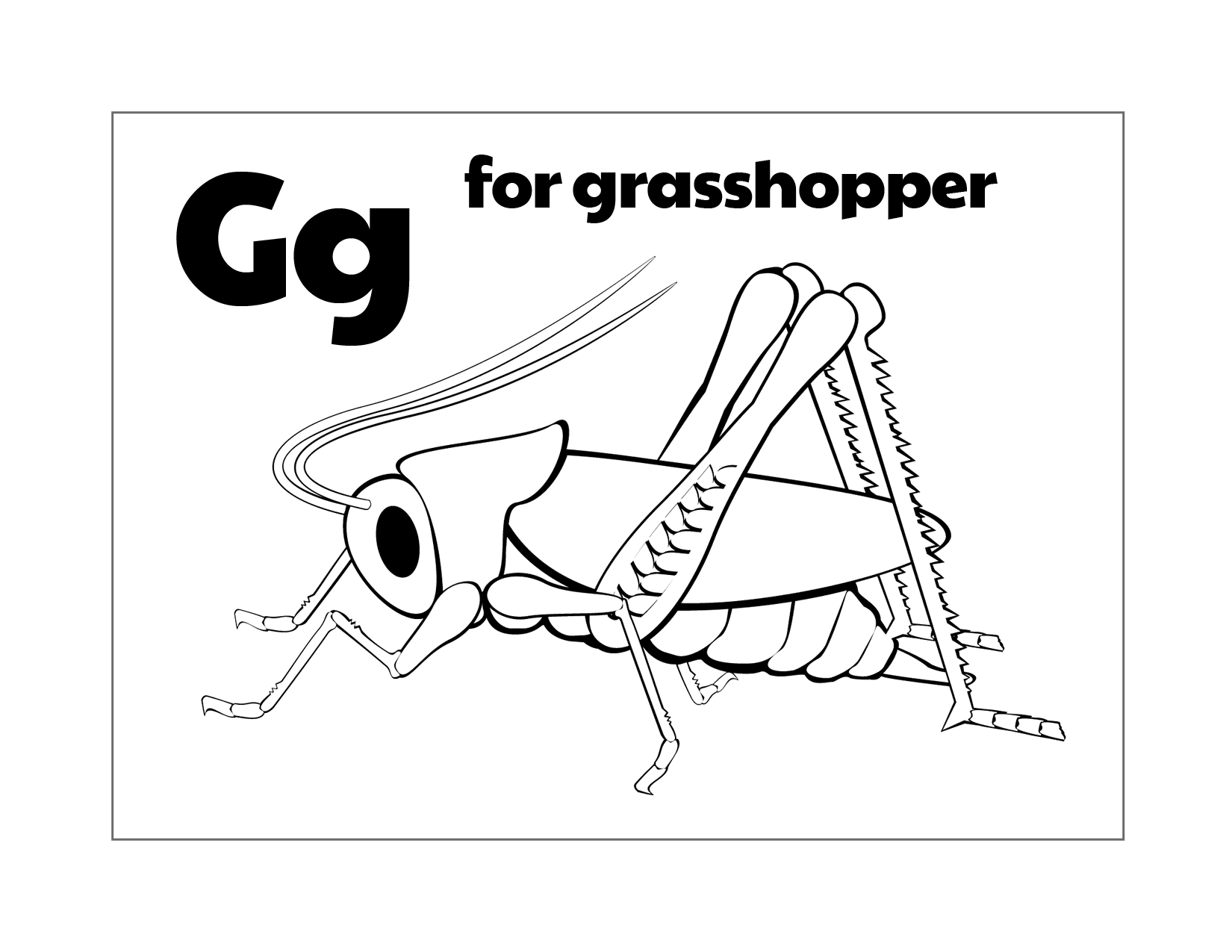 G For Grasshopper Coloring Page