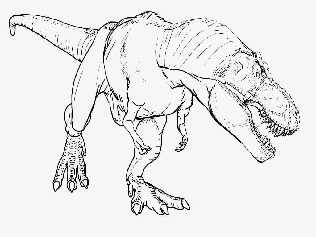 Giganotosaurus Dinosaur Coloring Page2