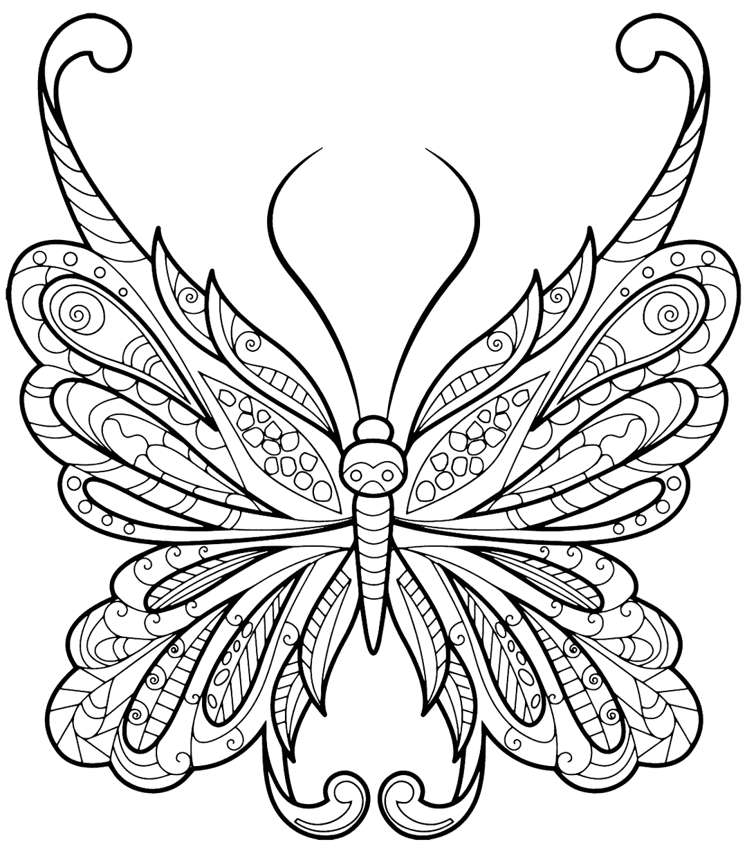 Gorgeous Butterfly Coloring Page