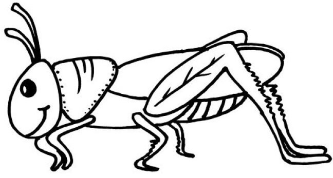 Grasshopper Coloring Pages2
