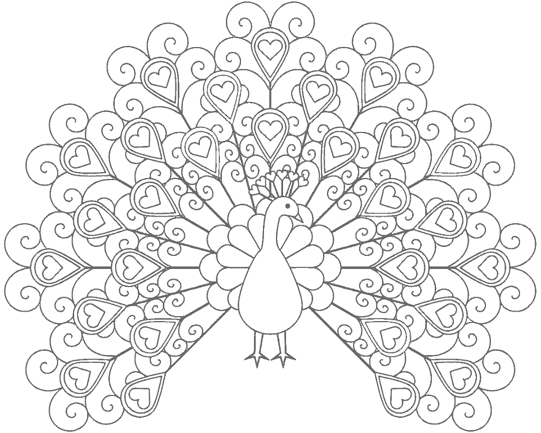 Gray Hearts Peacock Coloring Page