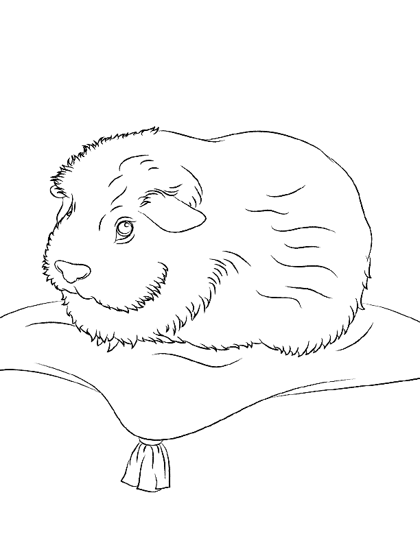 Guinea Pig On A Pillow Coloring Page