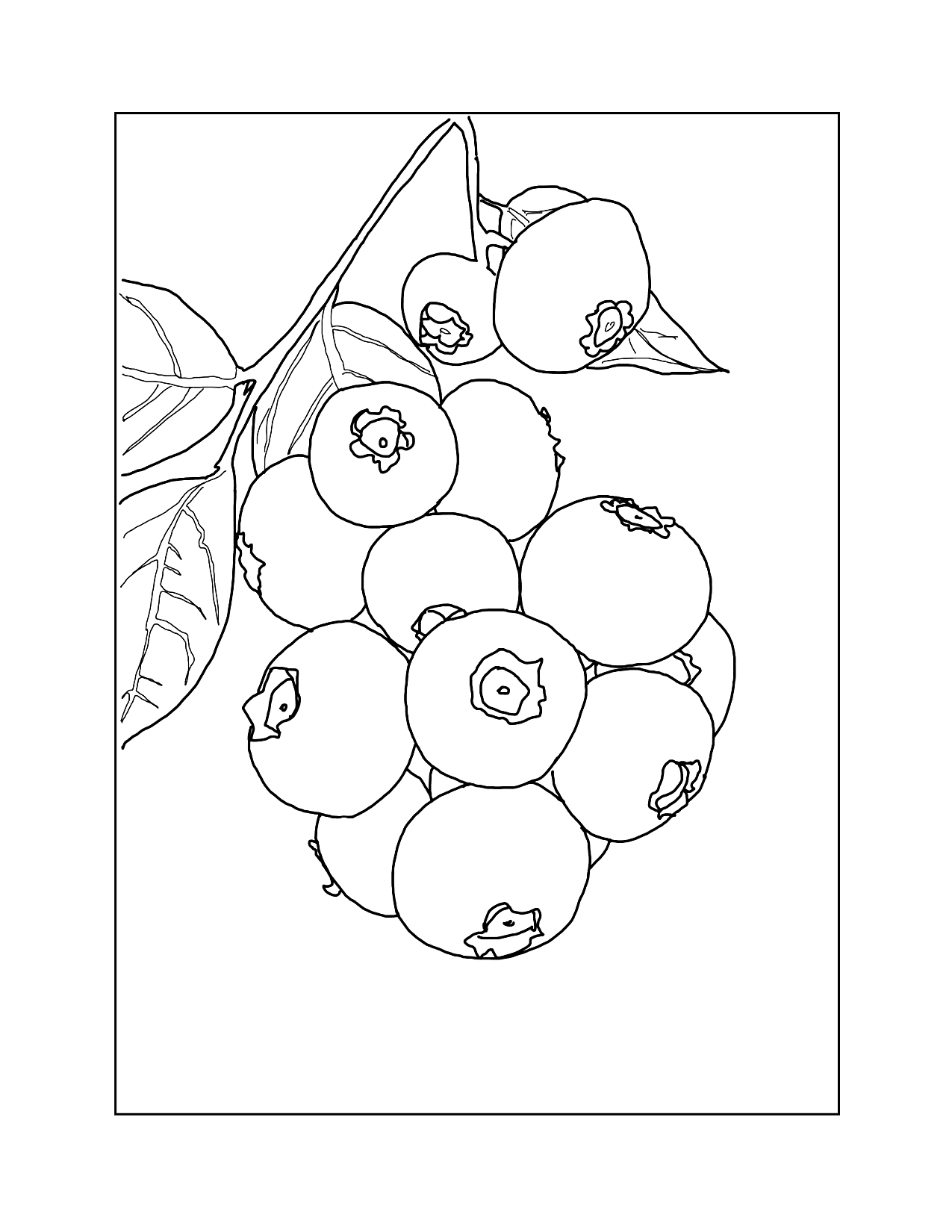 Hanging Blueberries Coloring Page