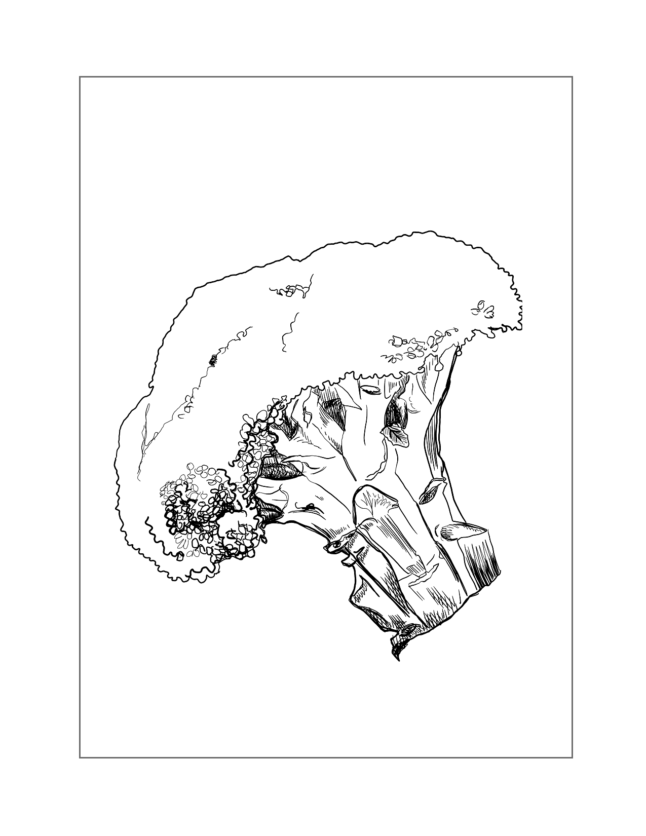 Head Of Broccoli Coloring Page