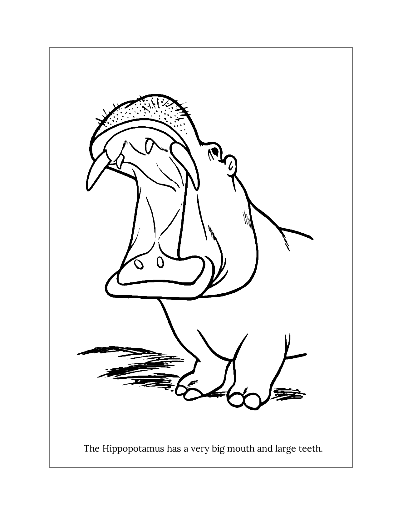 Hippopotamus Mouth Coloring Page