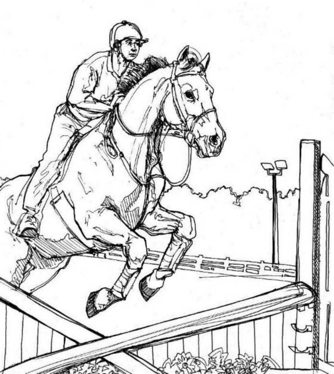 Horse Jumping Coloring Page2