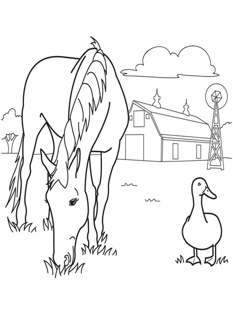 Horse And Duck Farm Coloring Pages