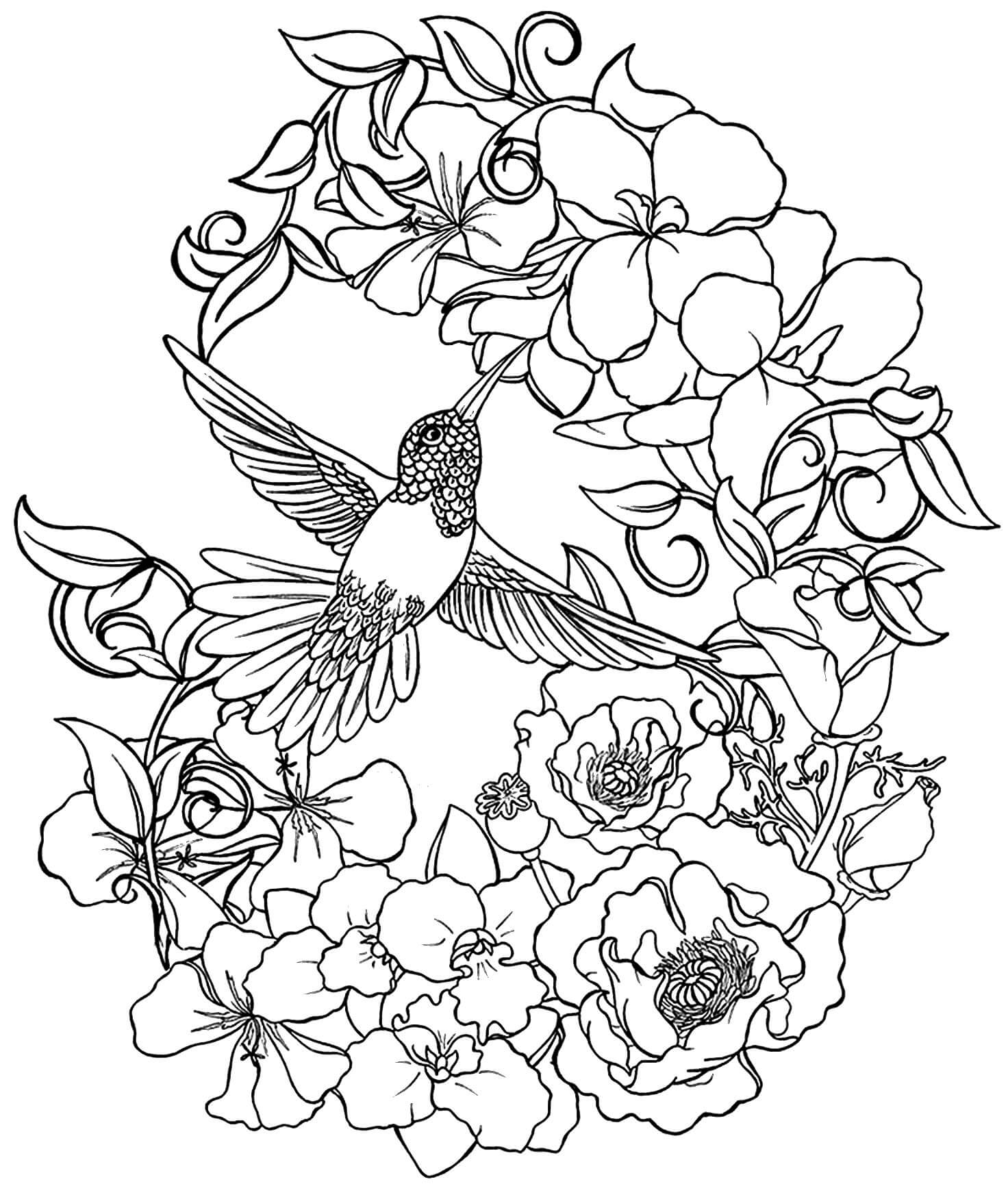 Hummingbird and Flowers Coloring Pages