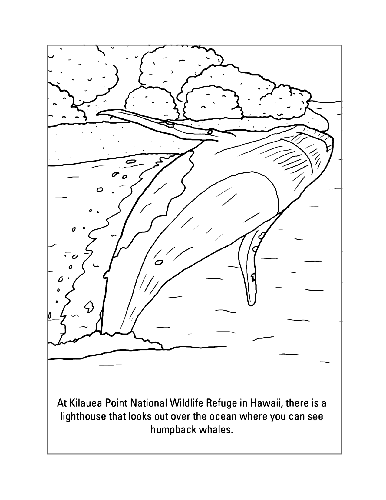 Humpback Whales In Hawaii Coloring Page