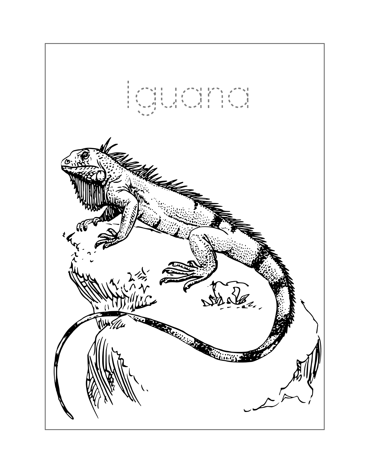 Iguana Spelling Coloring Sheet