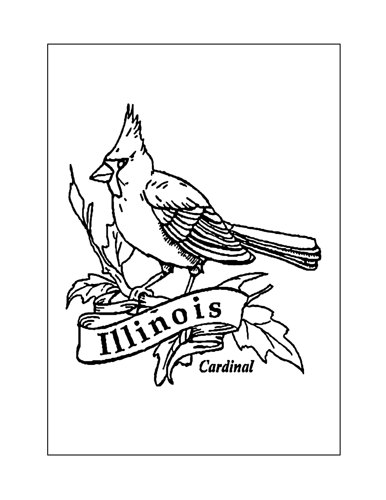 Illinois State Bird Cardinal Coloring Sheet