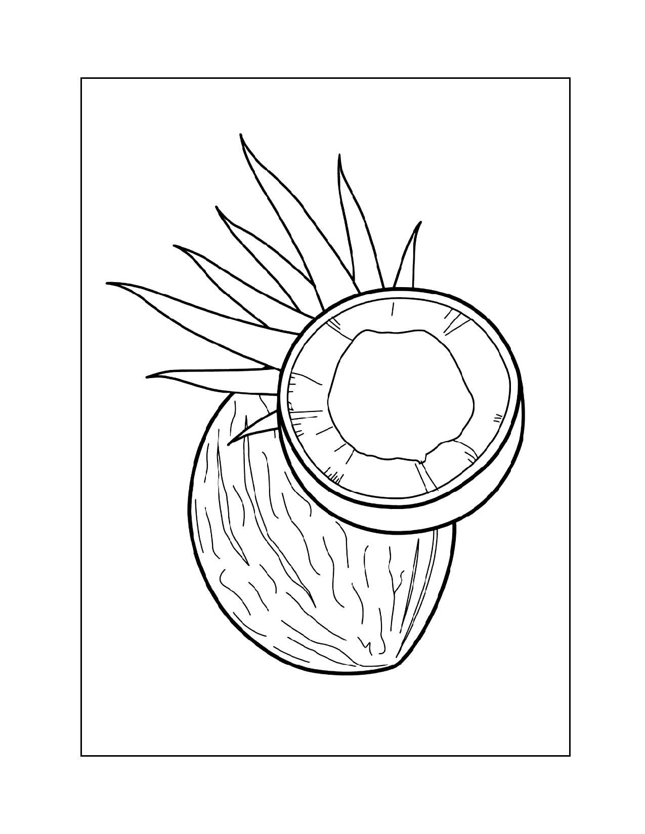 Inside Of A Coconut Coloring Page