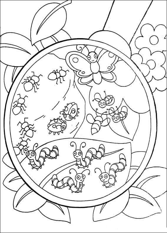 Inspect Insects Coloring Page