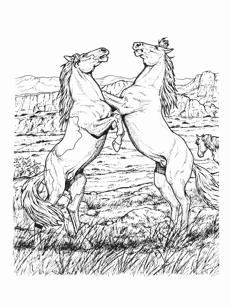 Jumping Horses Coloring Page