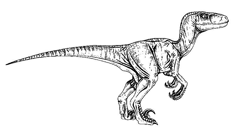 Jurassic World Raptor Colorig Page