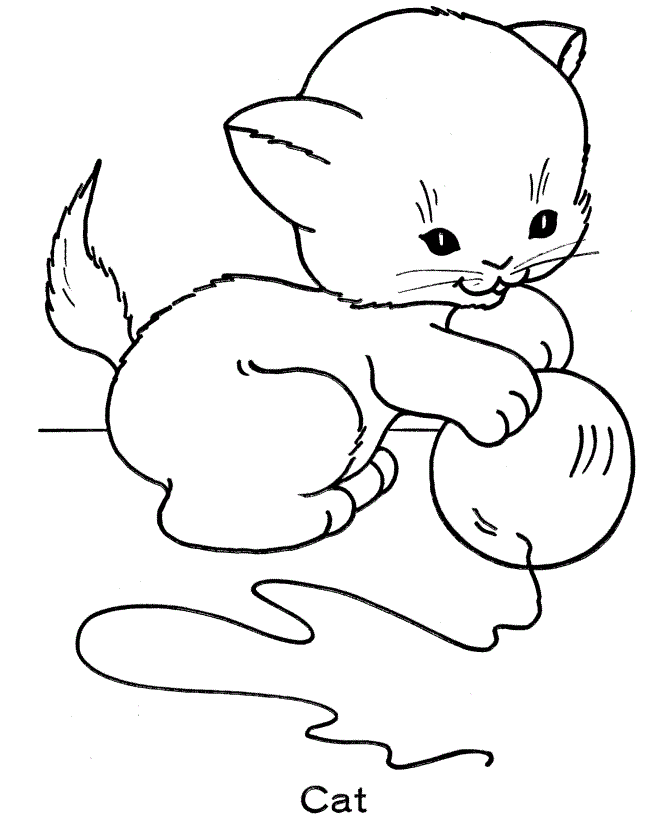 Kindergarden Cat Coloring Pages