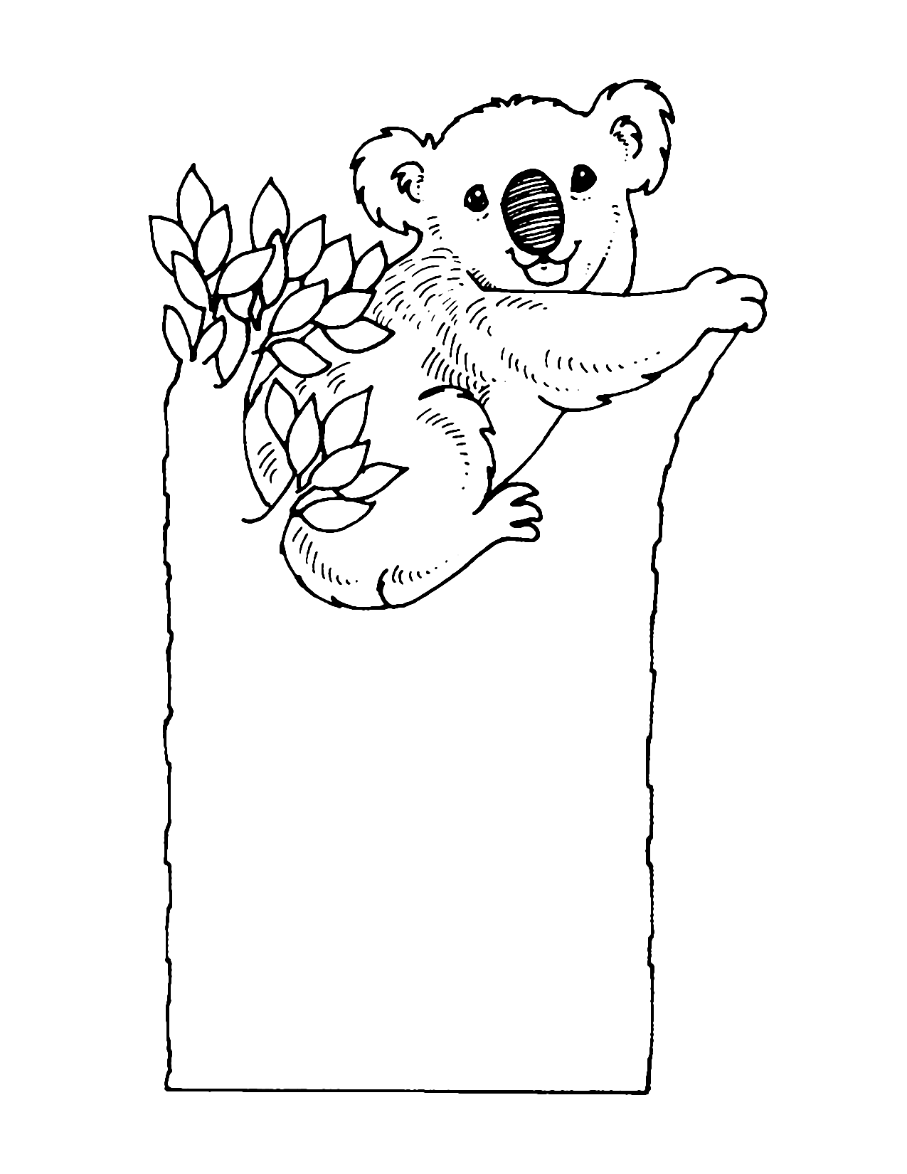 Koala Bear Design For Coloring