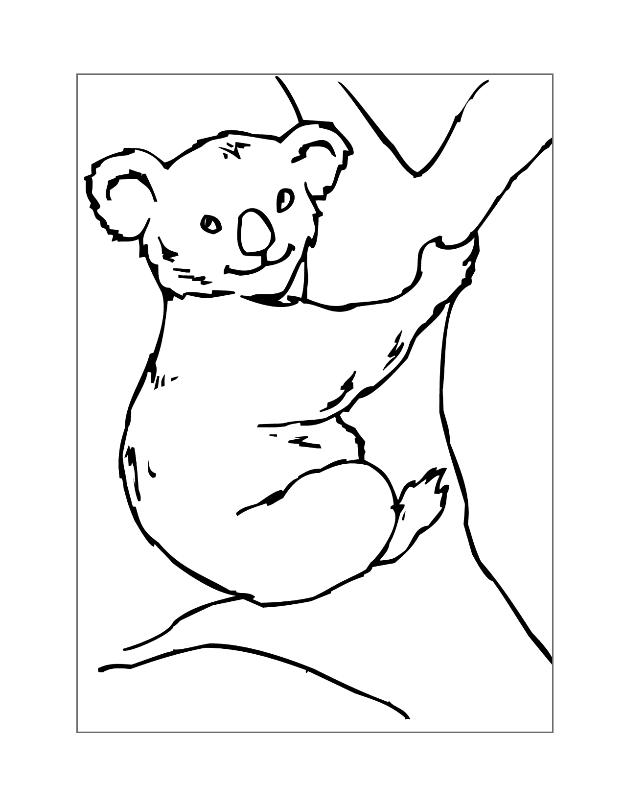 Koala In A Tree Coloring Page