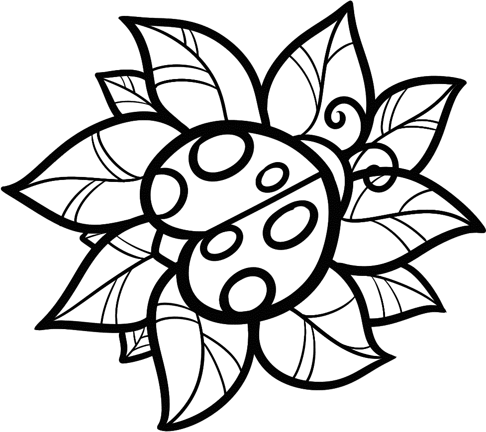 Ladybug Insect Coloring Pages