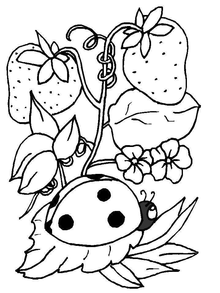 Ladybug On Strawberry Plant Coloring Page
