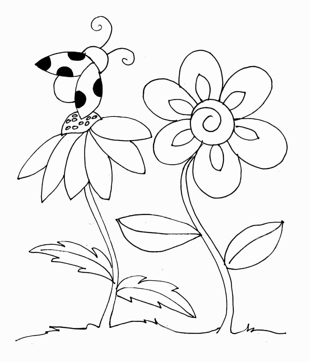 Ladybug And Flowers Coloring Page