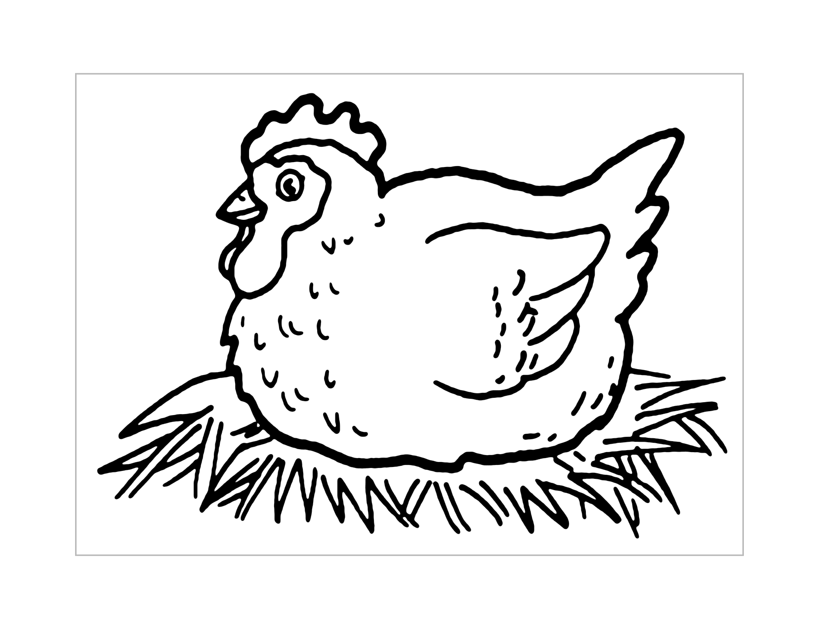 Layer Hen Coloring Page