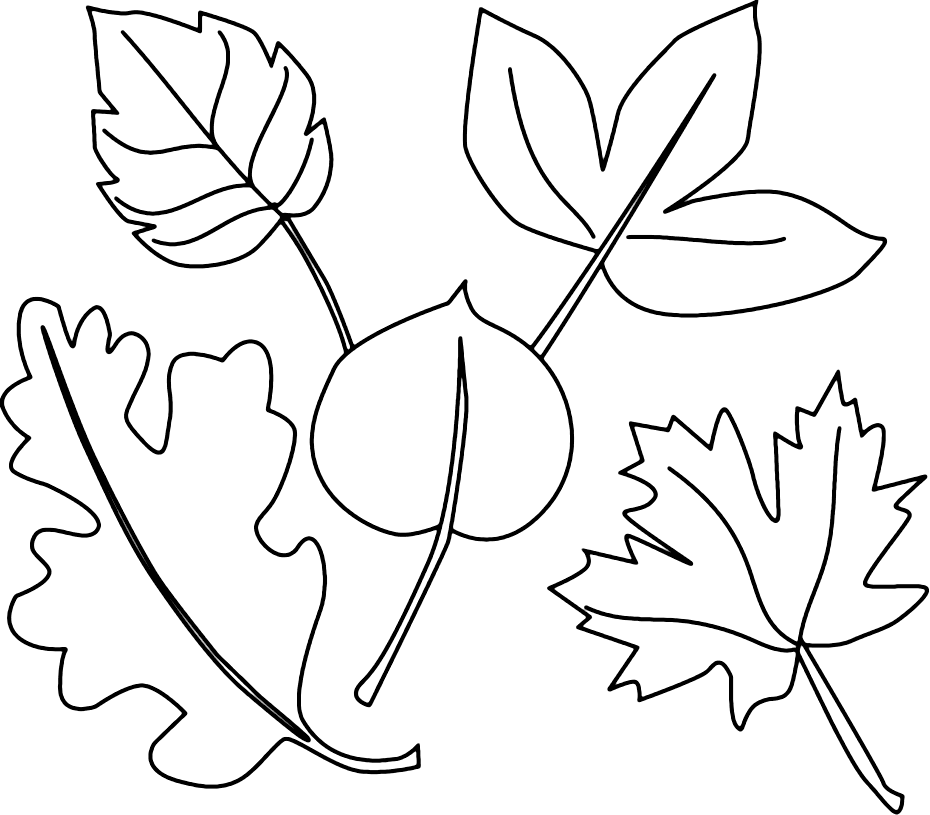 Leaves Coloring Pages