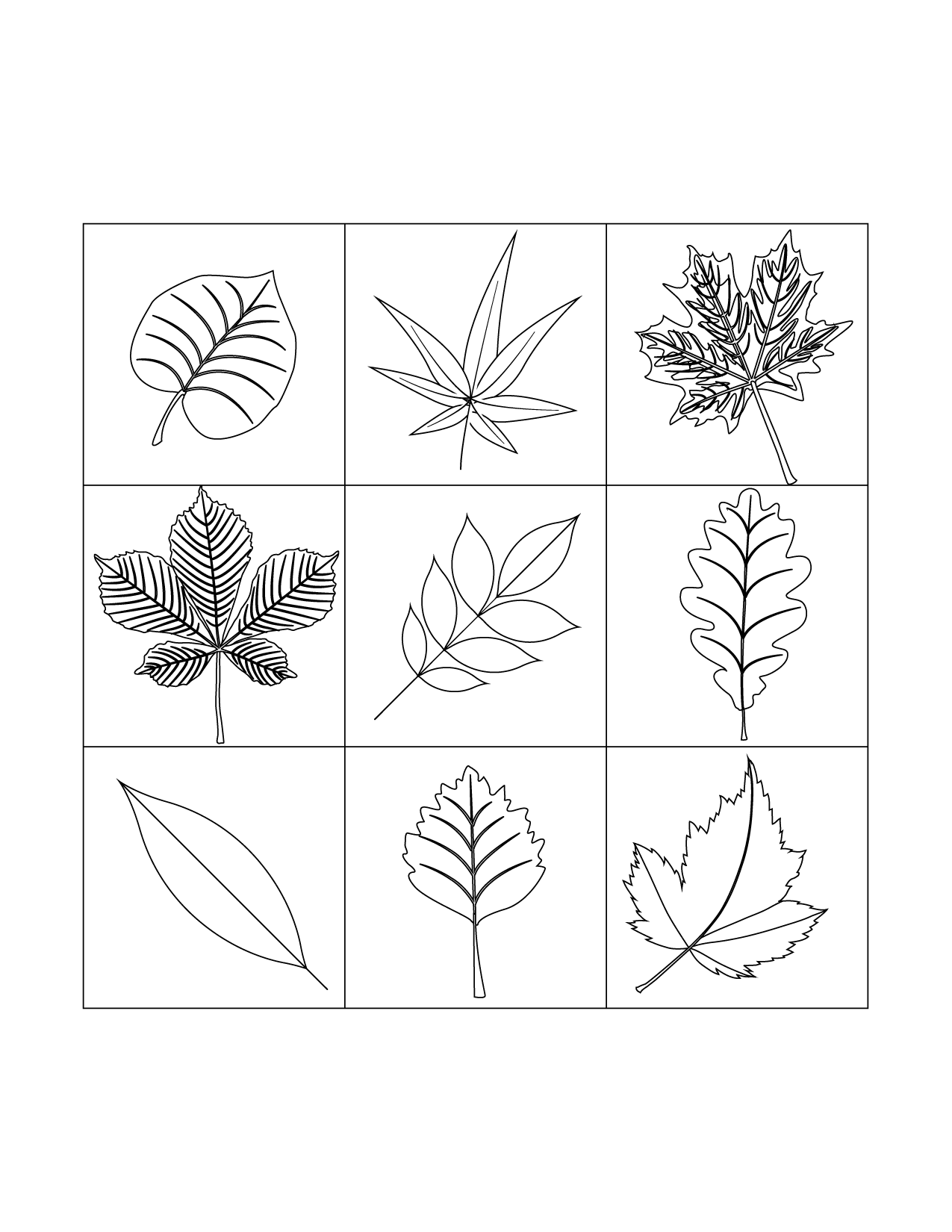 Leaves For Fall Coloring Page