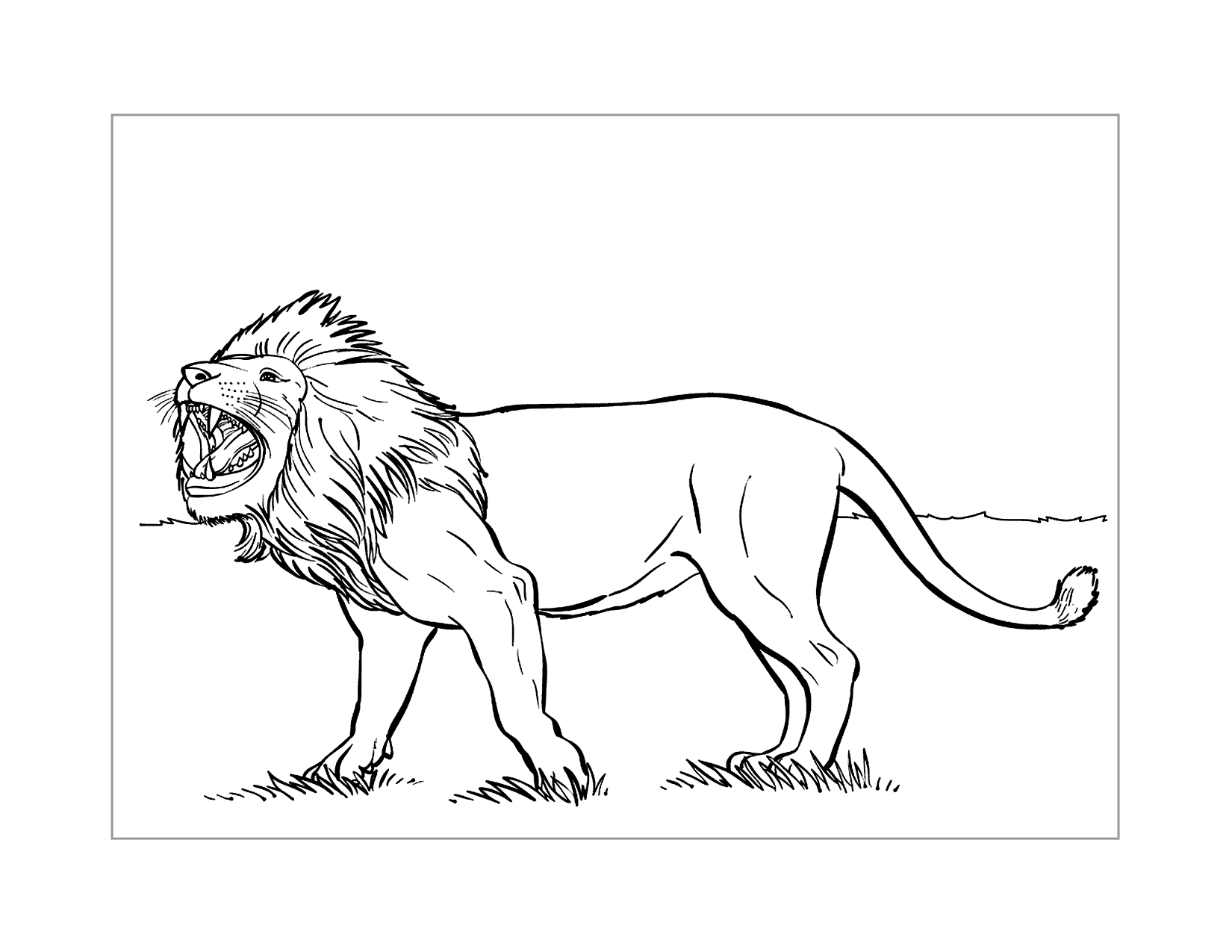 Lion Roar Coloring Page