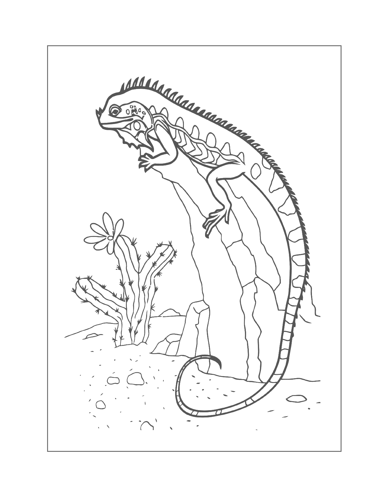 Lizard On A Rock Coloring Page