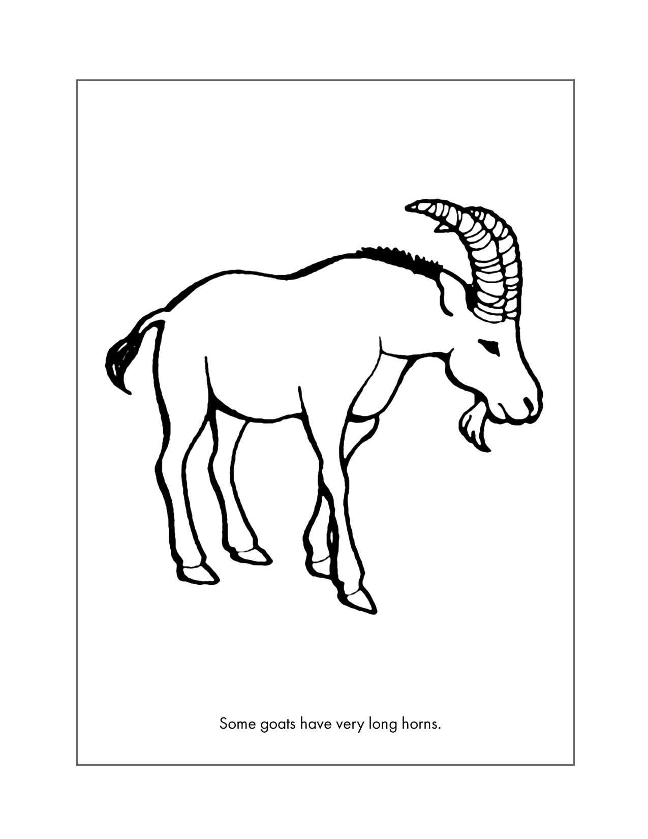 Long Horn Goat Coloring Sheet