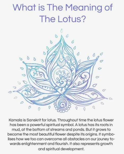 Lotus Coloring Page