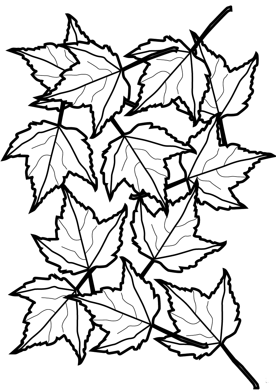 Maple Leaves Coloring Page