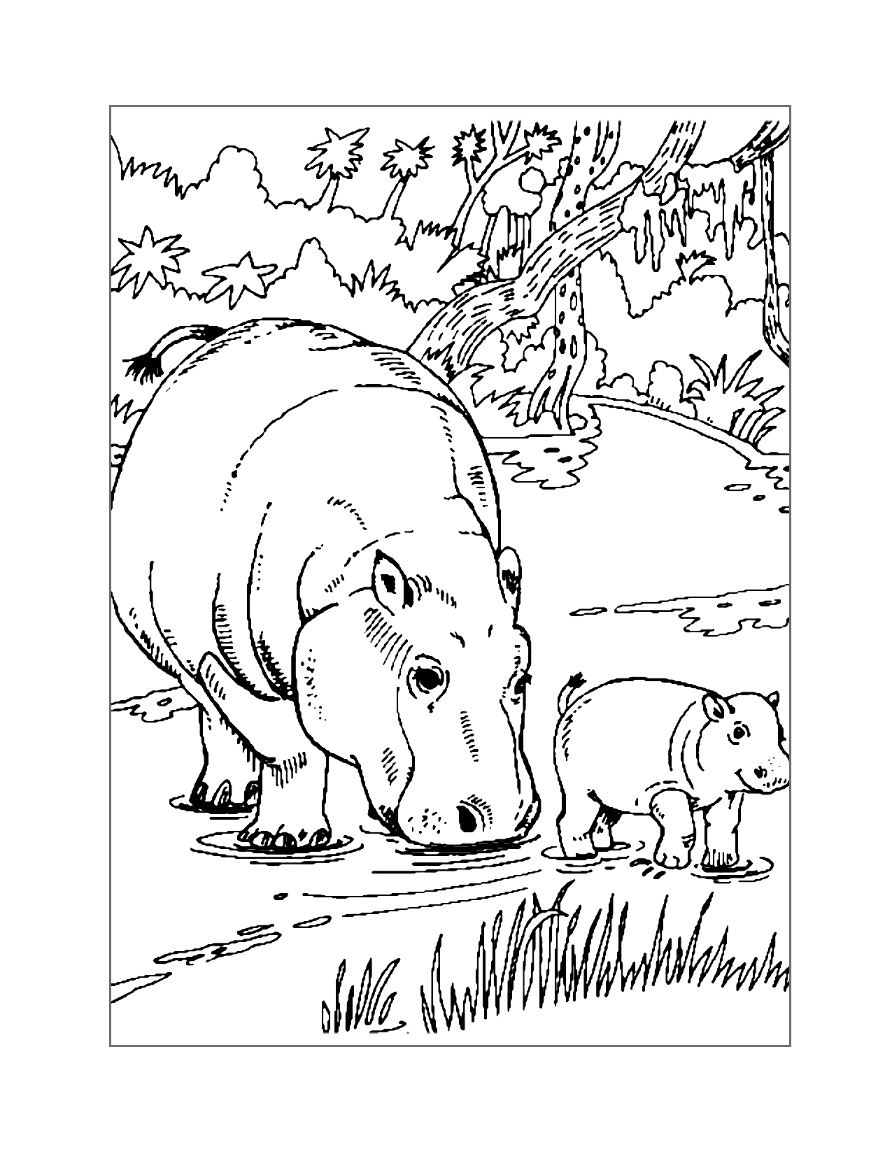 Mom And Baby Hippo Coloring Page