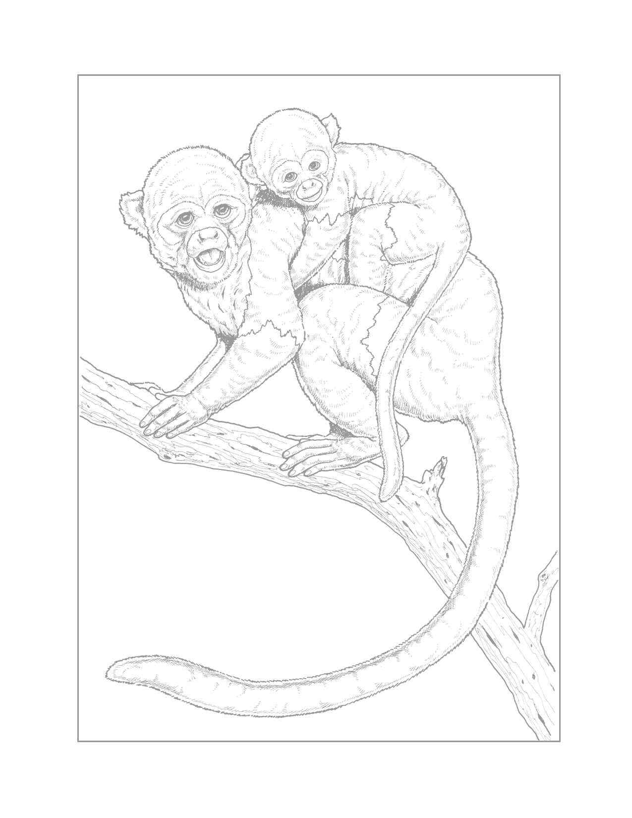 Mom And Baby Monkey Traceable Coloring Page