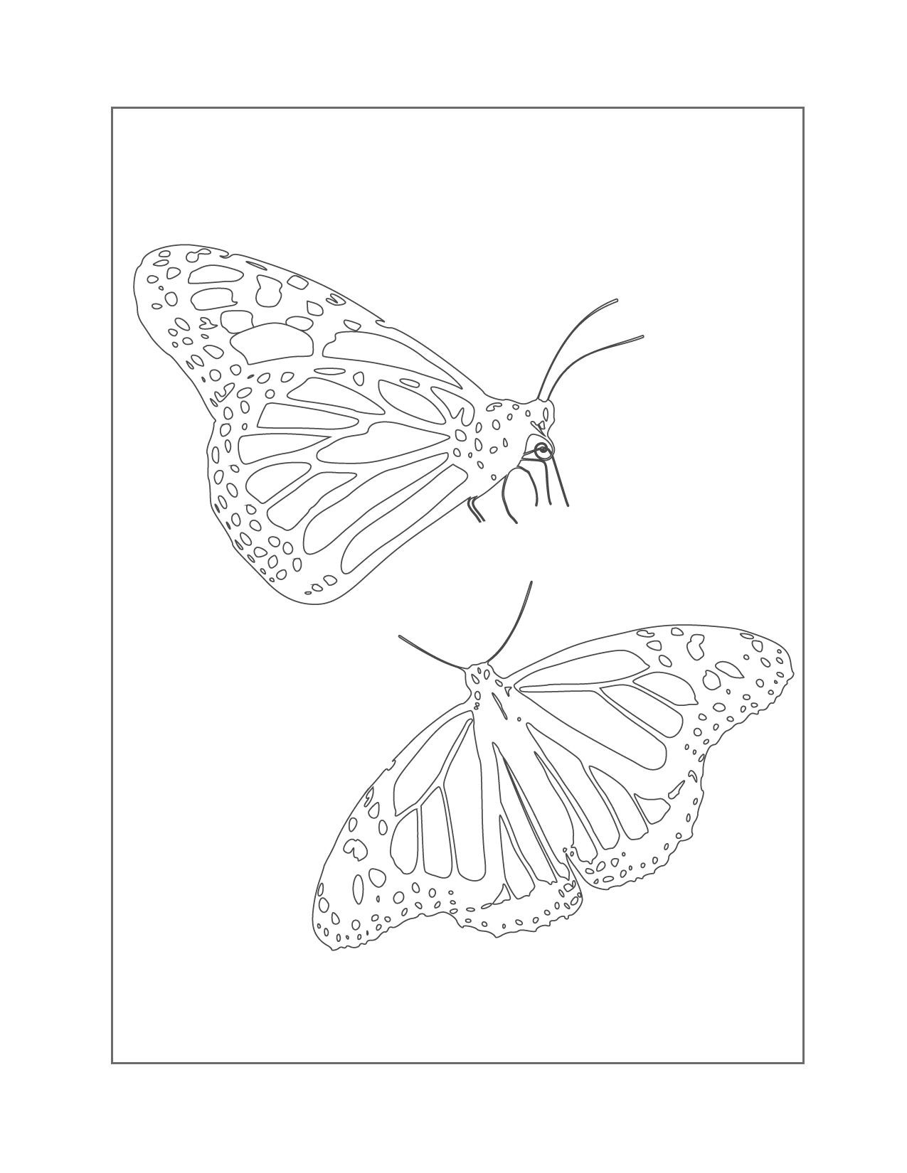 Monarch Butterflies Coloring Page