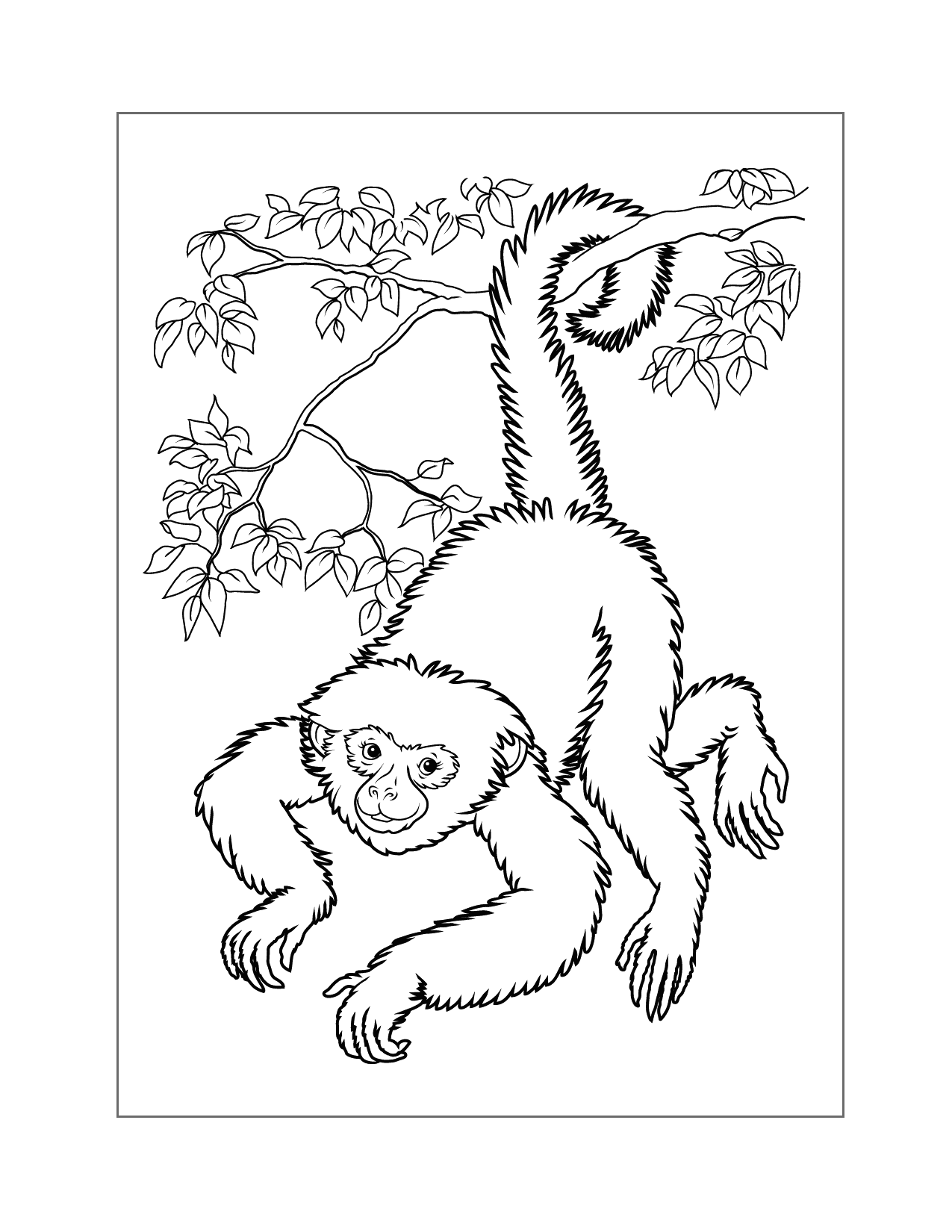 Monkey Hanging From Tree By Tail Coloring Page