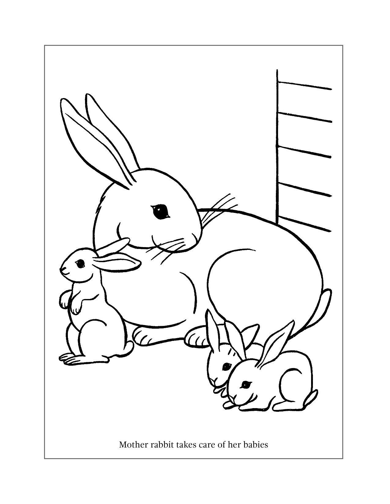 Mother And Babies Rabbit Coloring Page