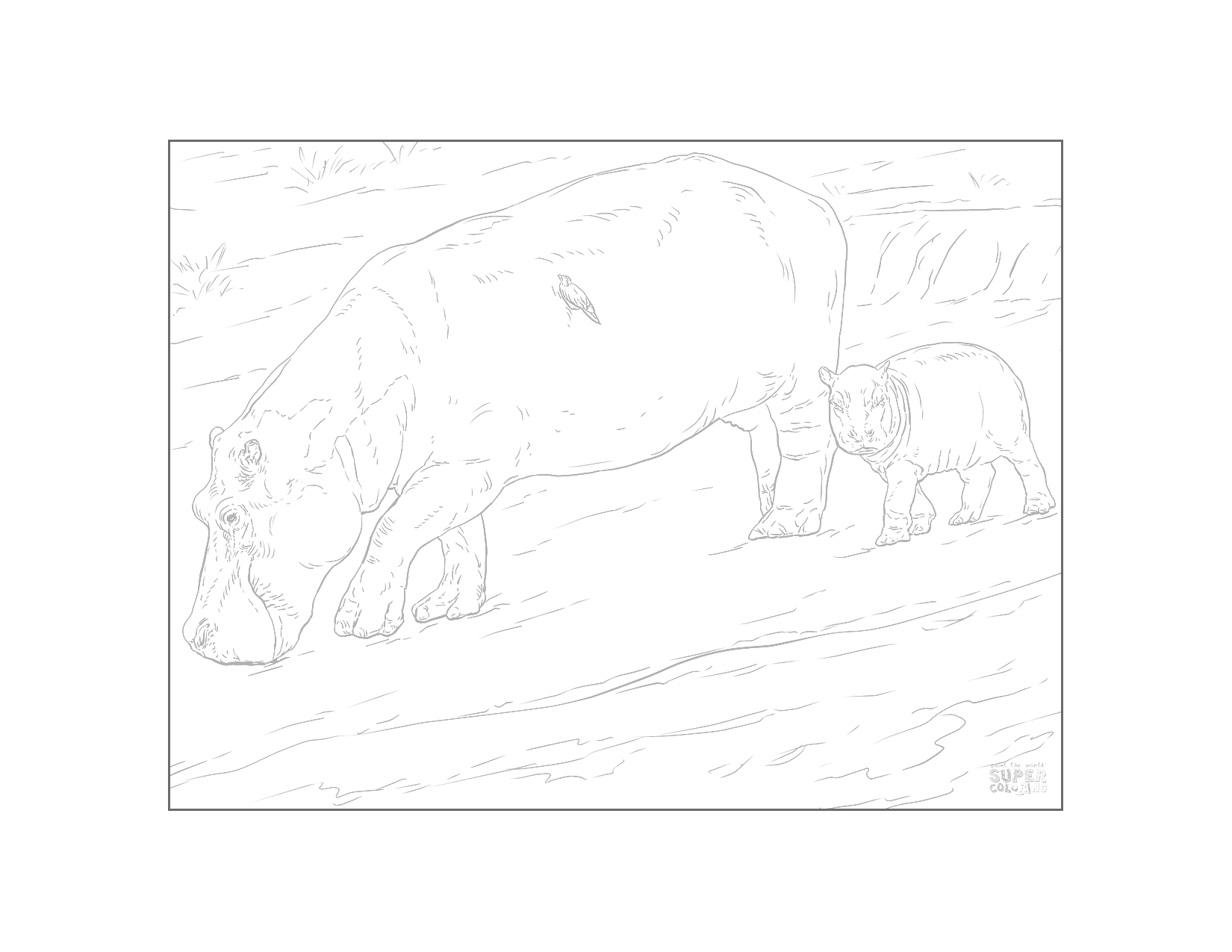 Mother And Baby Hippo Traceabl Coloring Page