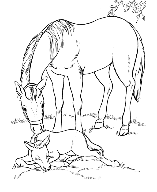 Mother And Pony Coloring Page