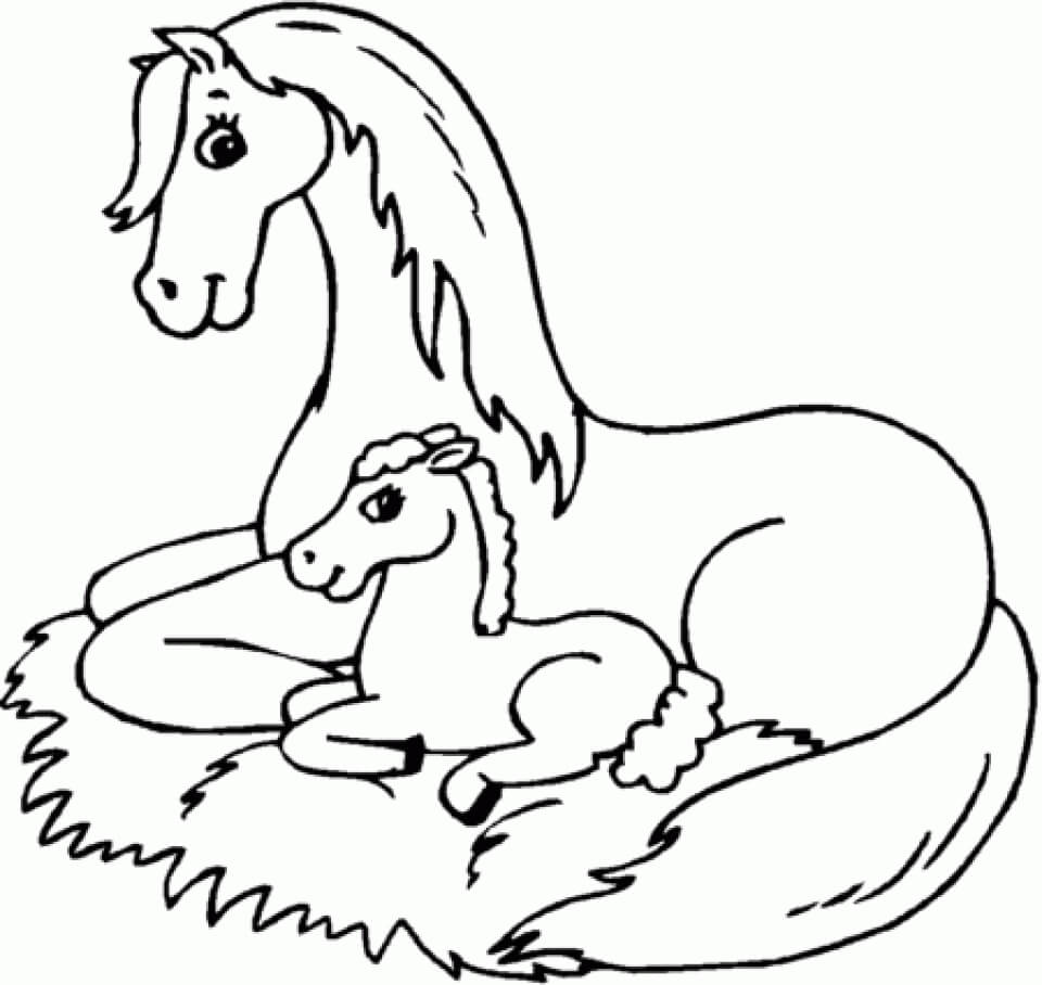 Mother And Pony Coloring Page2