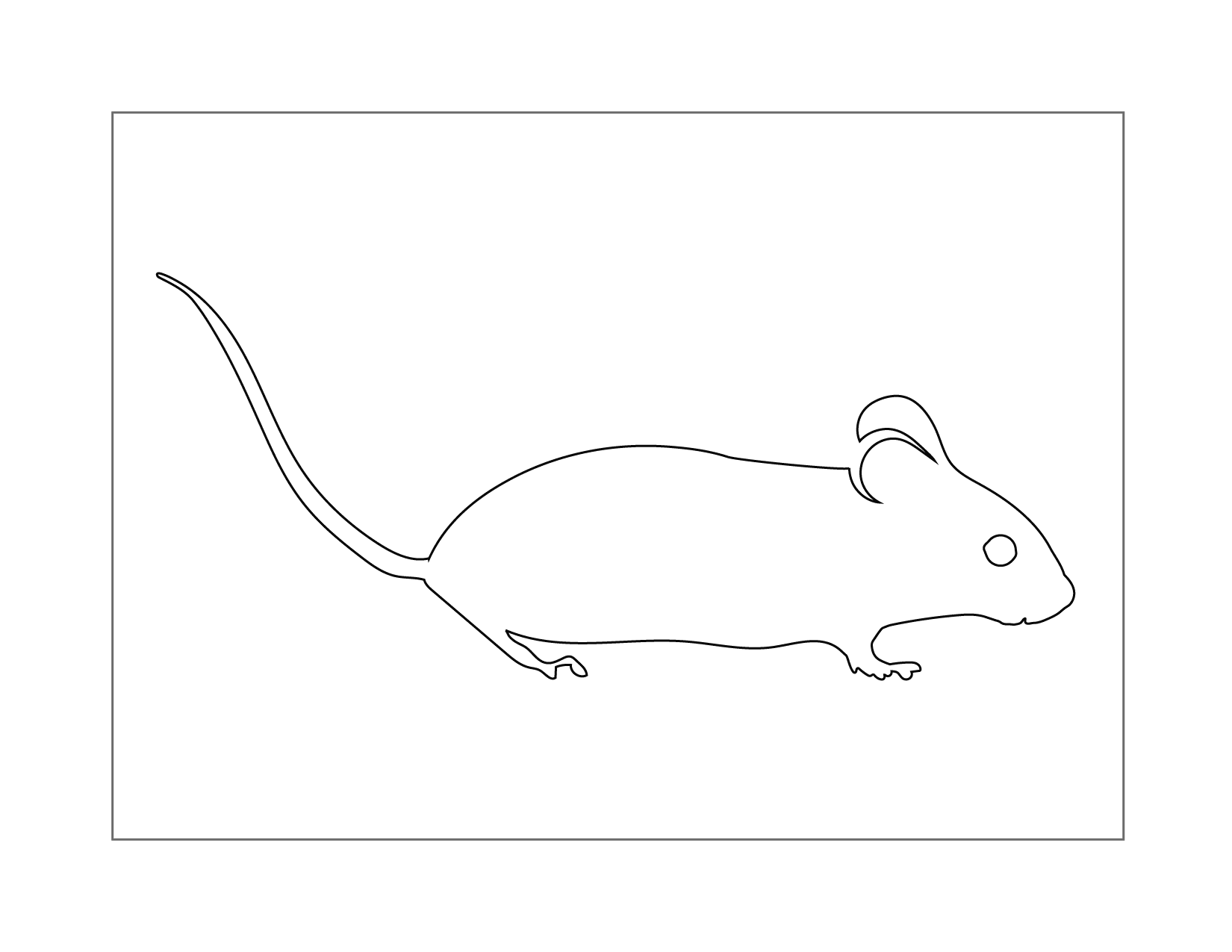 Mouse Outline Coloring Page