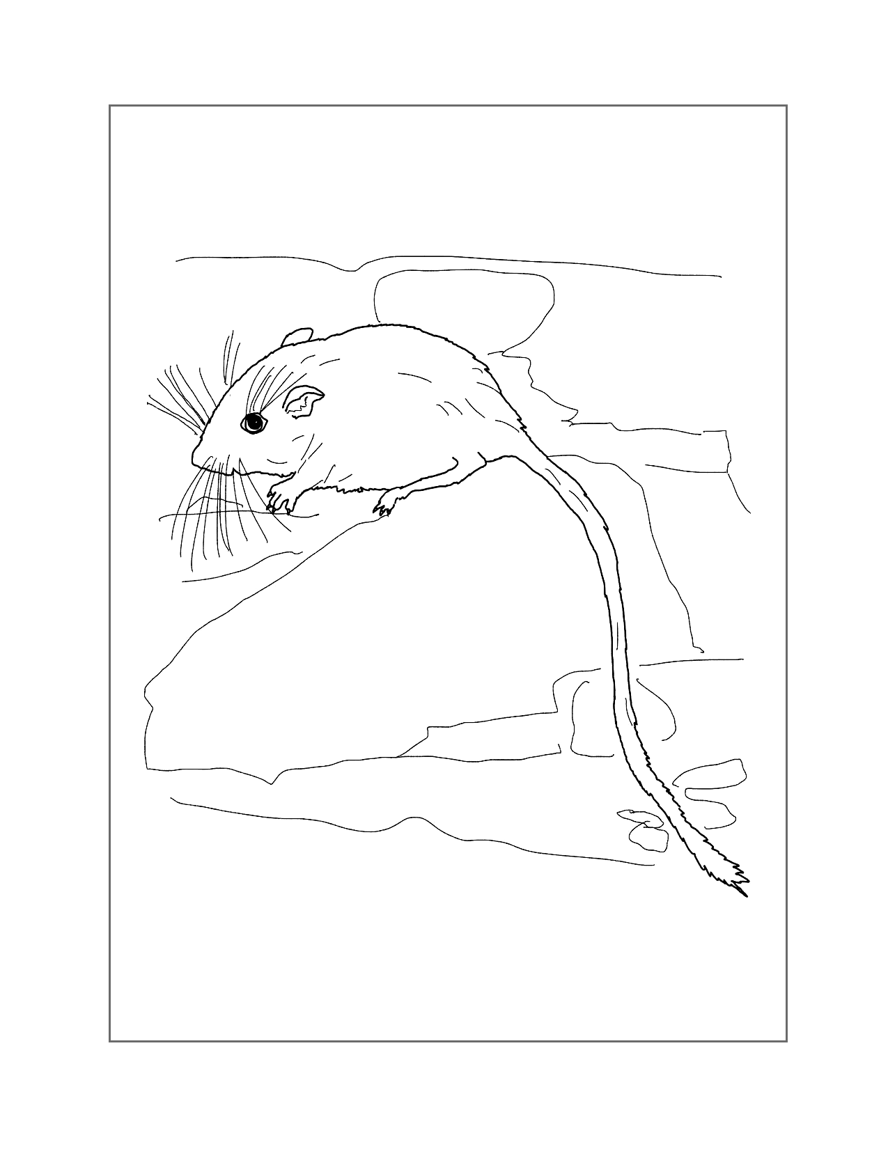 Mouse Outside Coloring Page