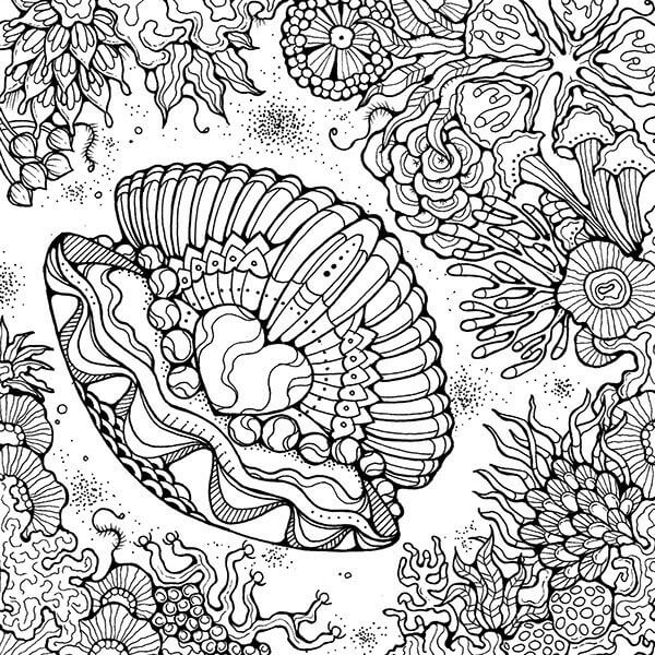 Ocean Oyster Coloring Pages For Adults