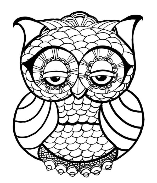 Owl Animal Coloring Pages
