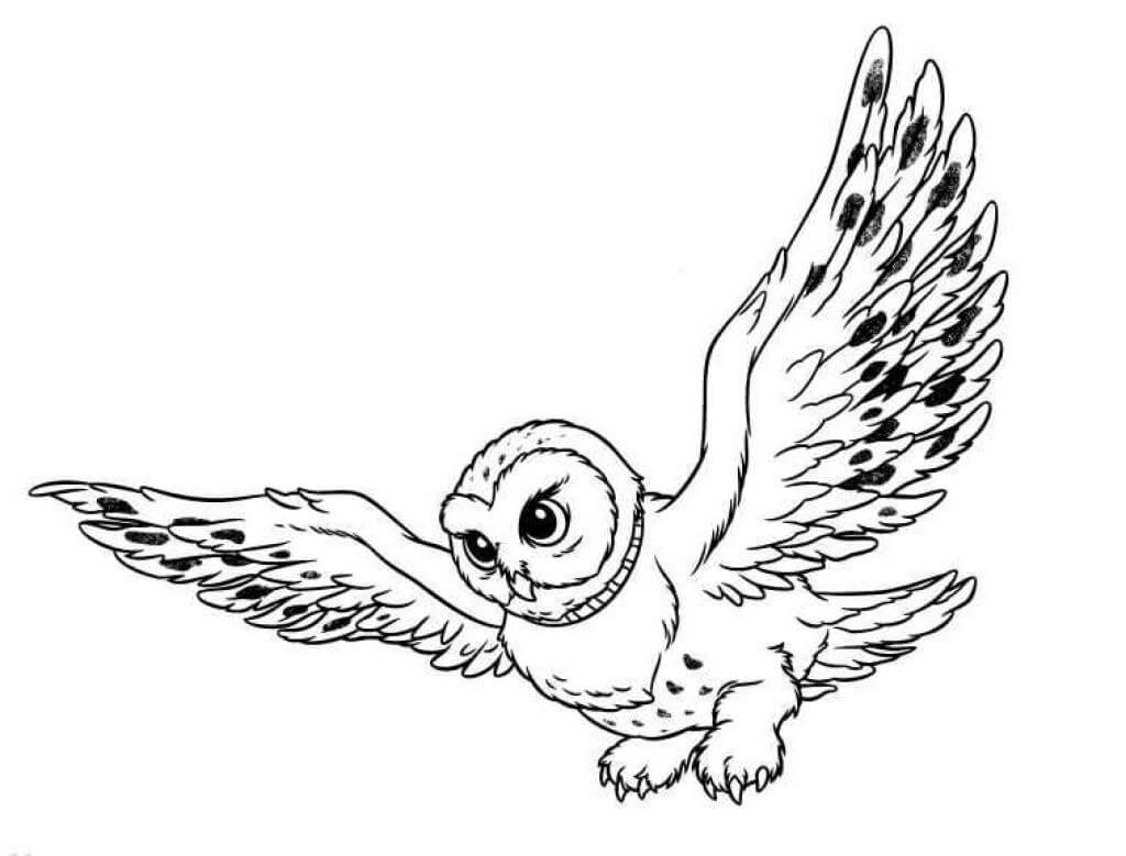 Owl-Coloring-Pages