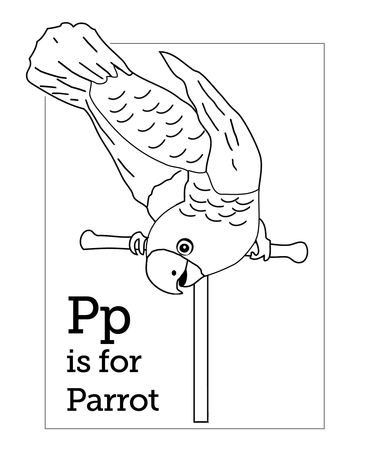 P Is For Parrot Coloring Page