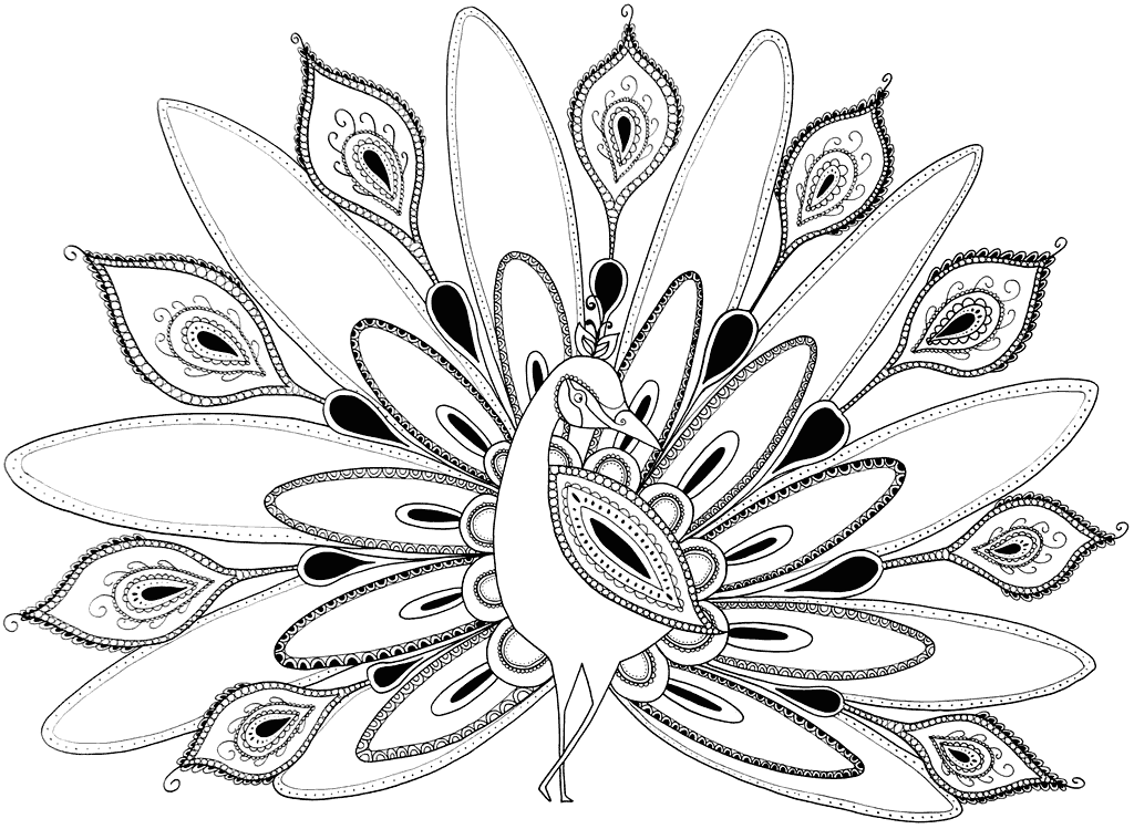 Paisley Peacock Coloring Pages
