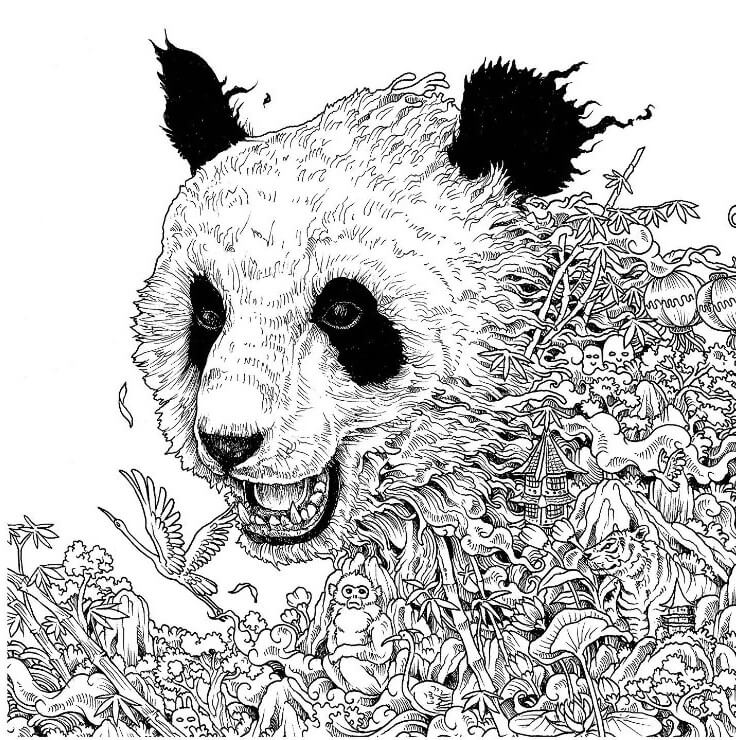 Panda Coloring Pages For Adults Coloring And Drawing